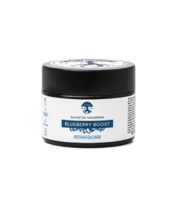 Raminantis veido kremas Blueberry Boost4