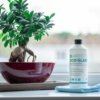 Koncentruotas langų valiklis EcoGlass