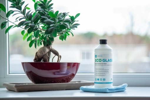 Koncentruotas langų valiklis EcoGlass